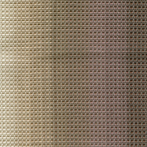 Woven: Mesh - Cream