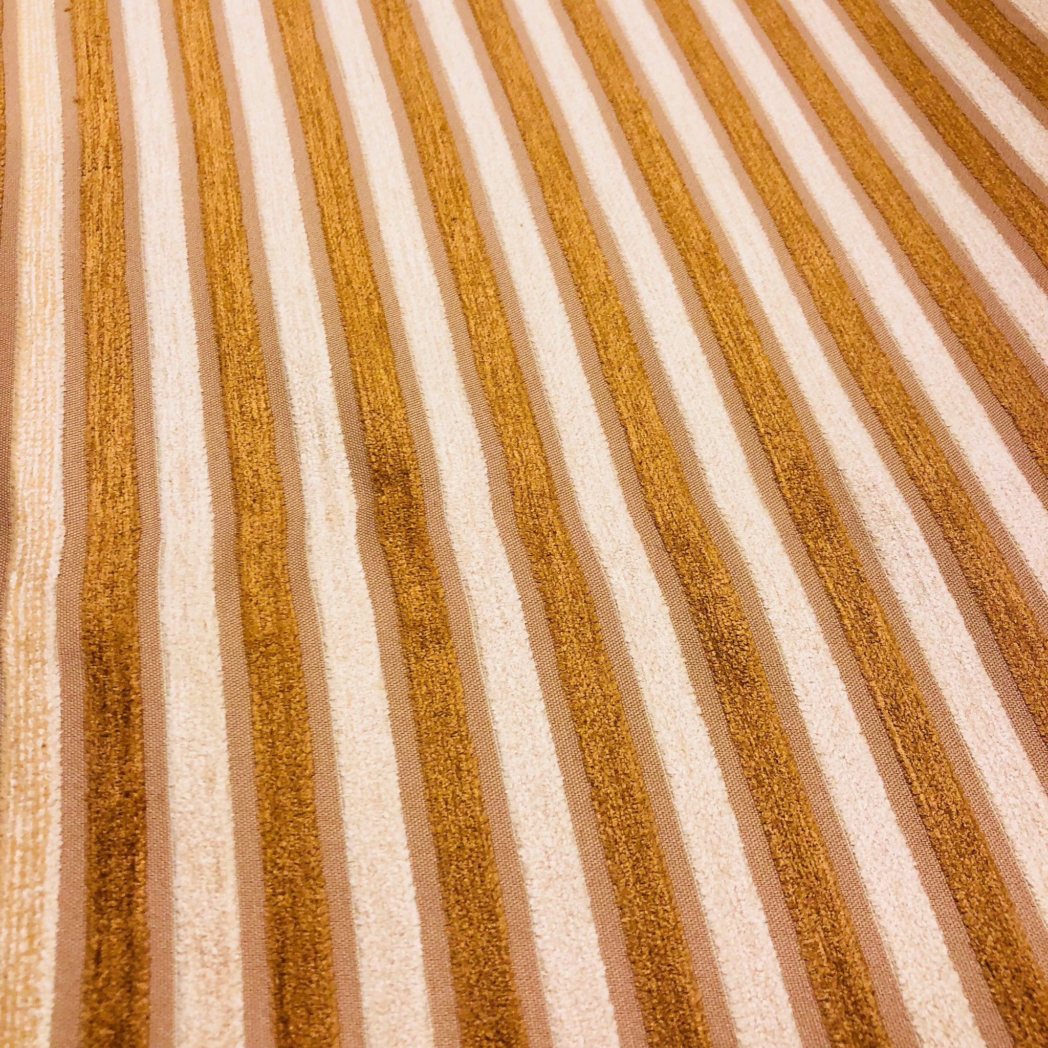 Santa Cruz Stripe Gold / Ivory