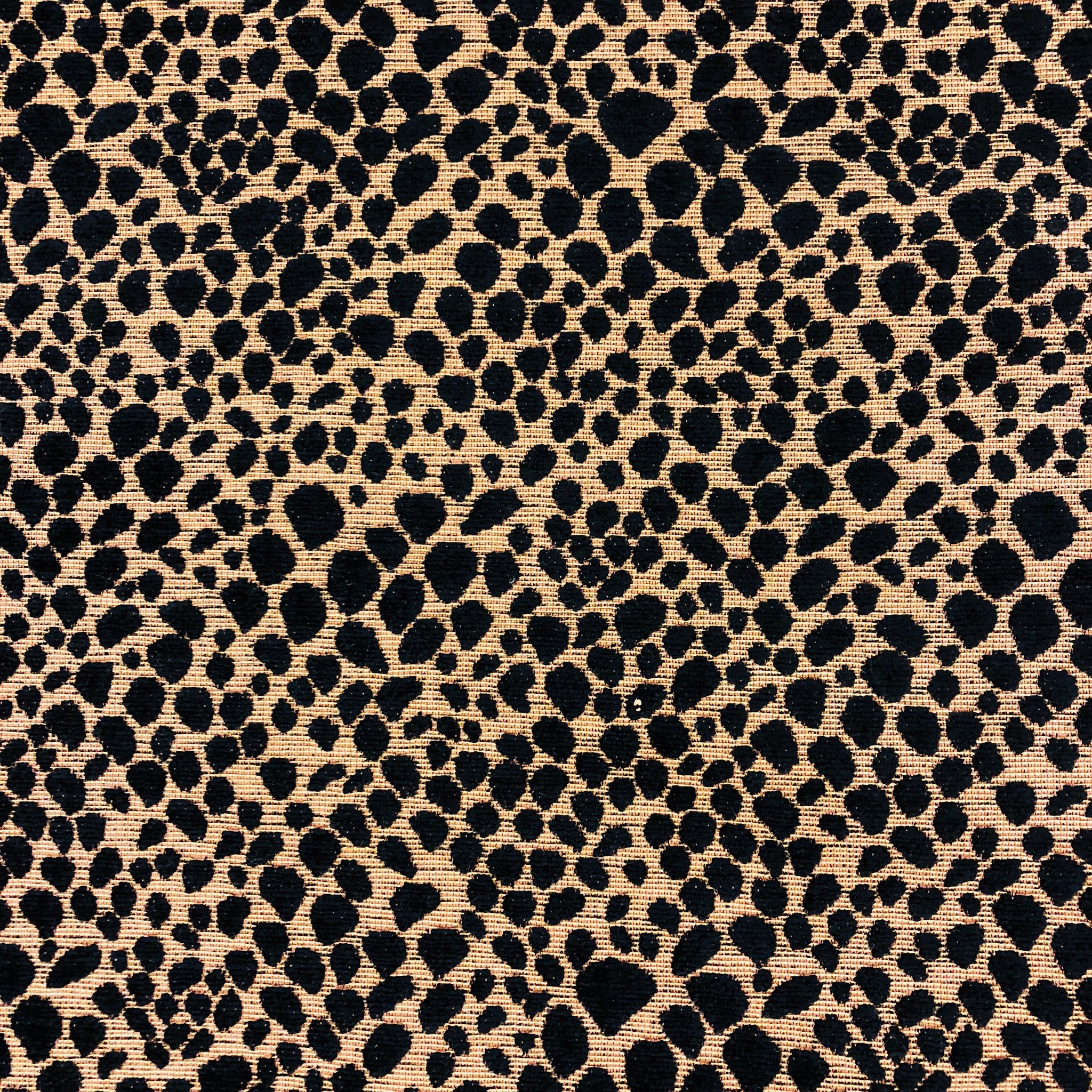 Simba Noir / Gold